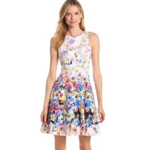 Maggy London | Floral Dress